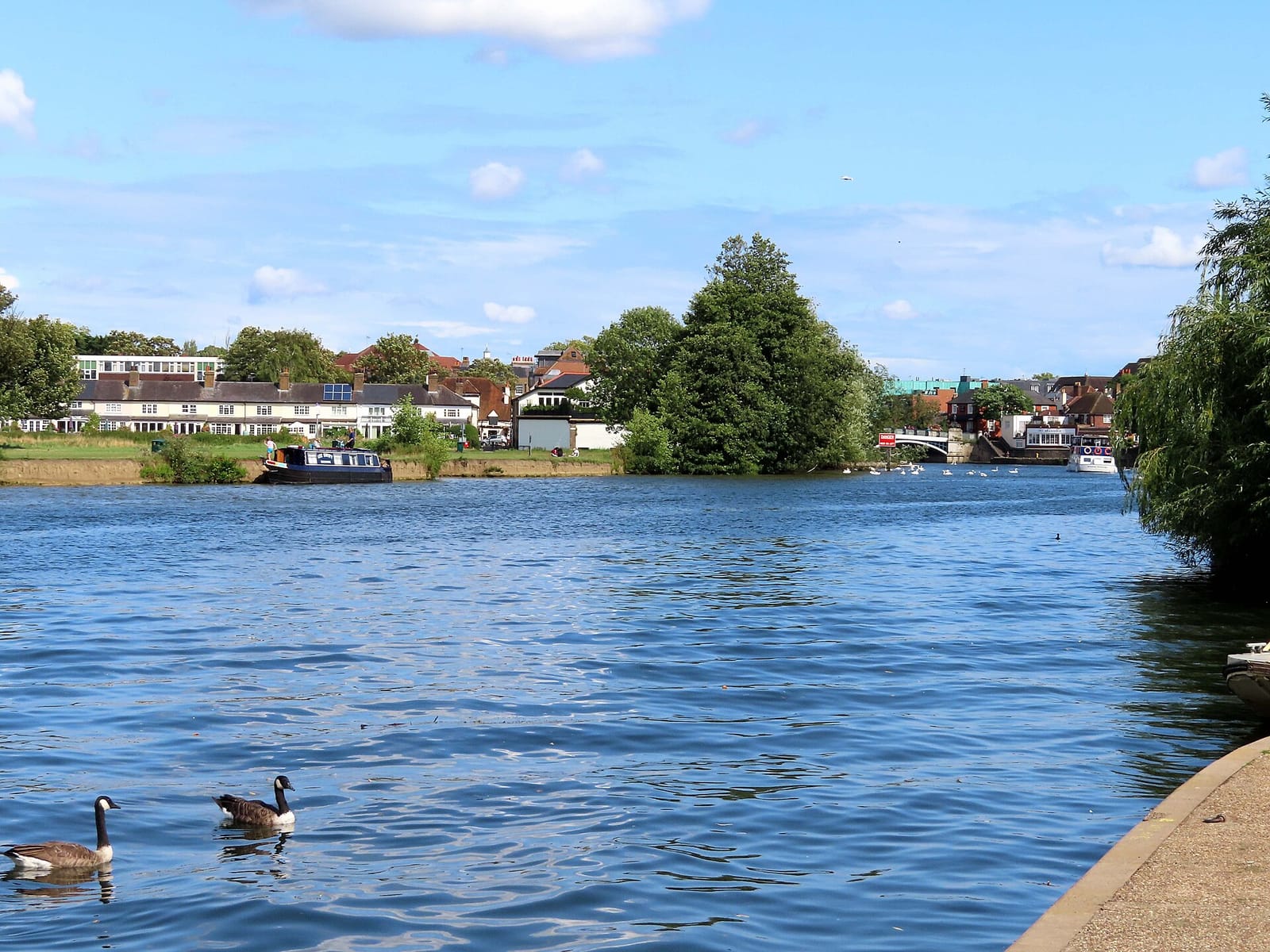 Cafe on the River photo 2