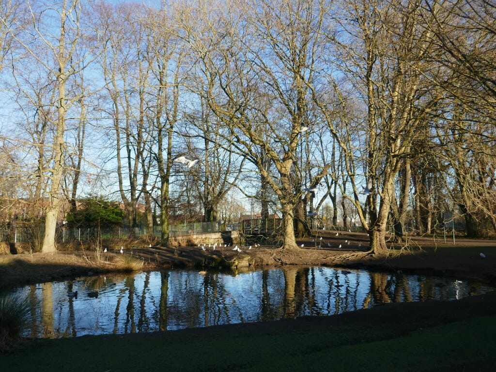 Aurora Wellbeing Services photo 4