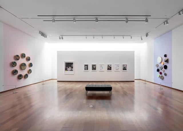 MacLaren Art Centre photo 3