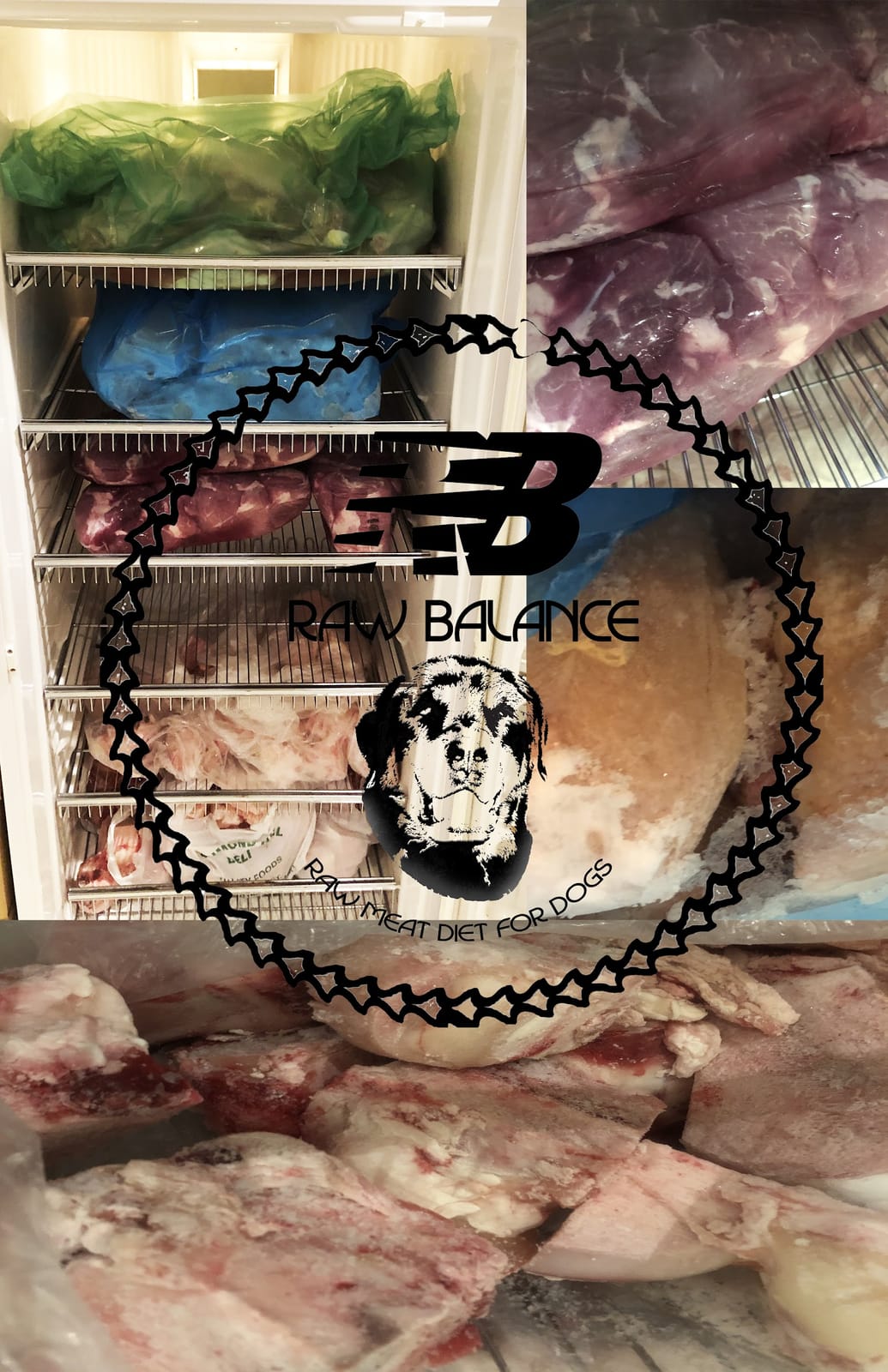 Raw Balance Dogfood