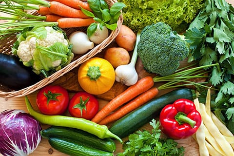 Raw Balance Dogfood photo 4