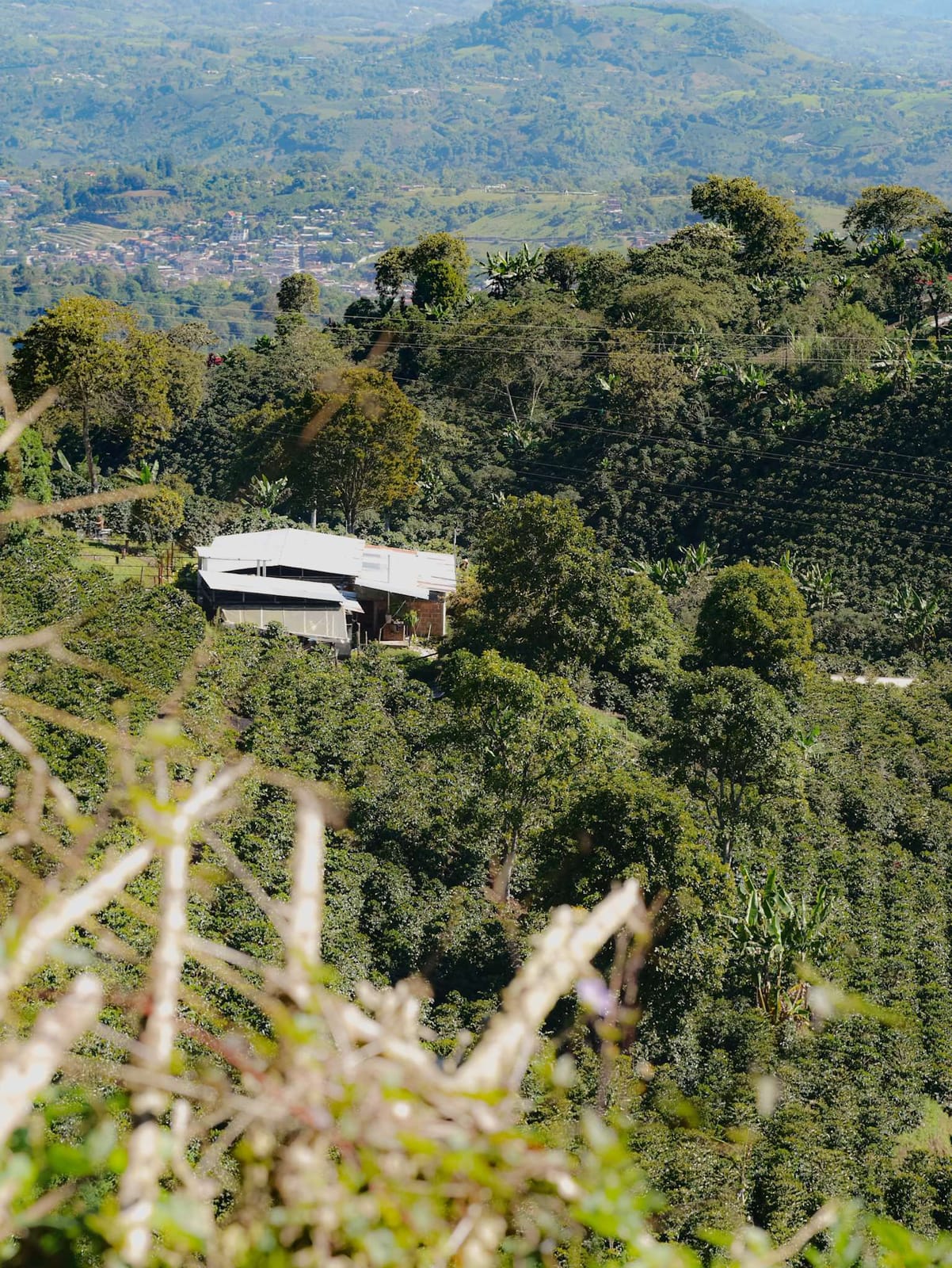 Coffee Roastery Modus - Studio & shop photo 2