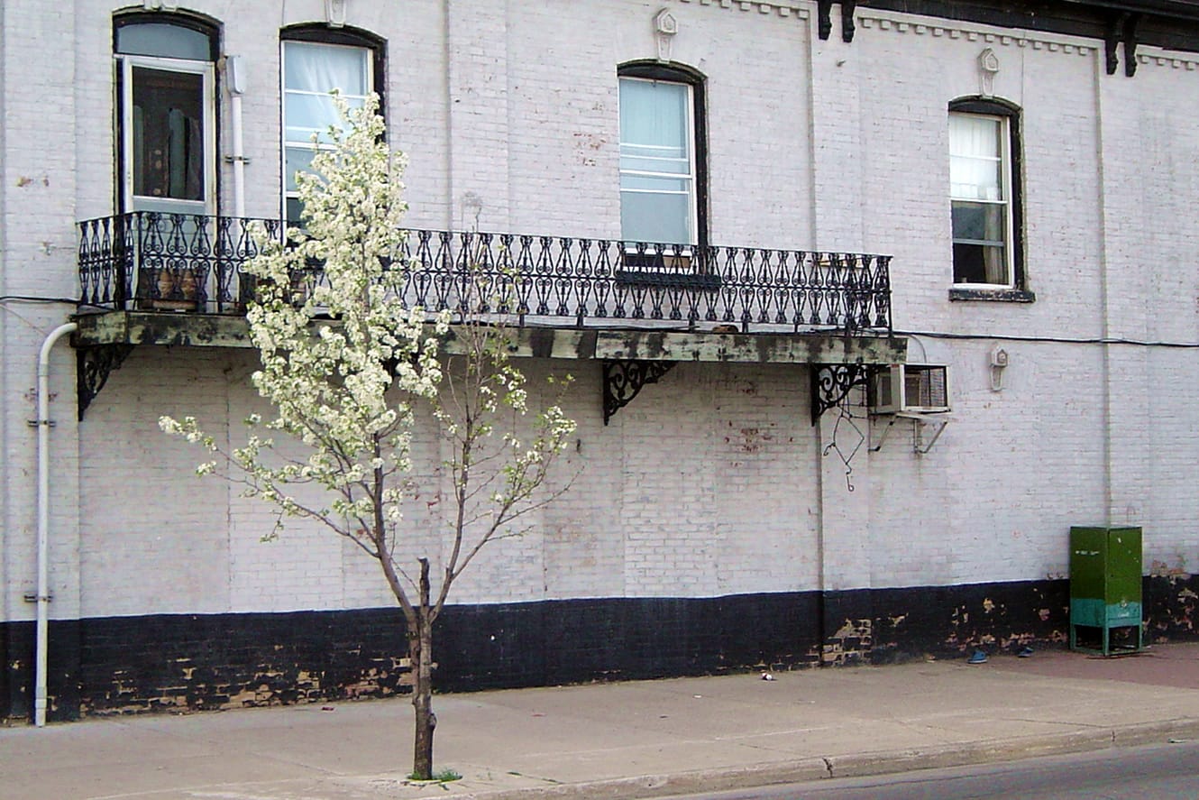 Coffee Culture Café & Eatery photo 3