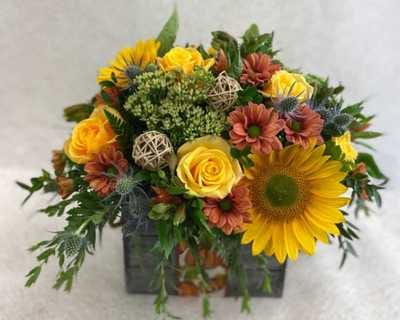 Minter Country Garden - Garden Centre & Florist photo 3