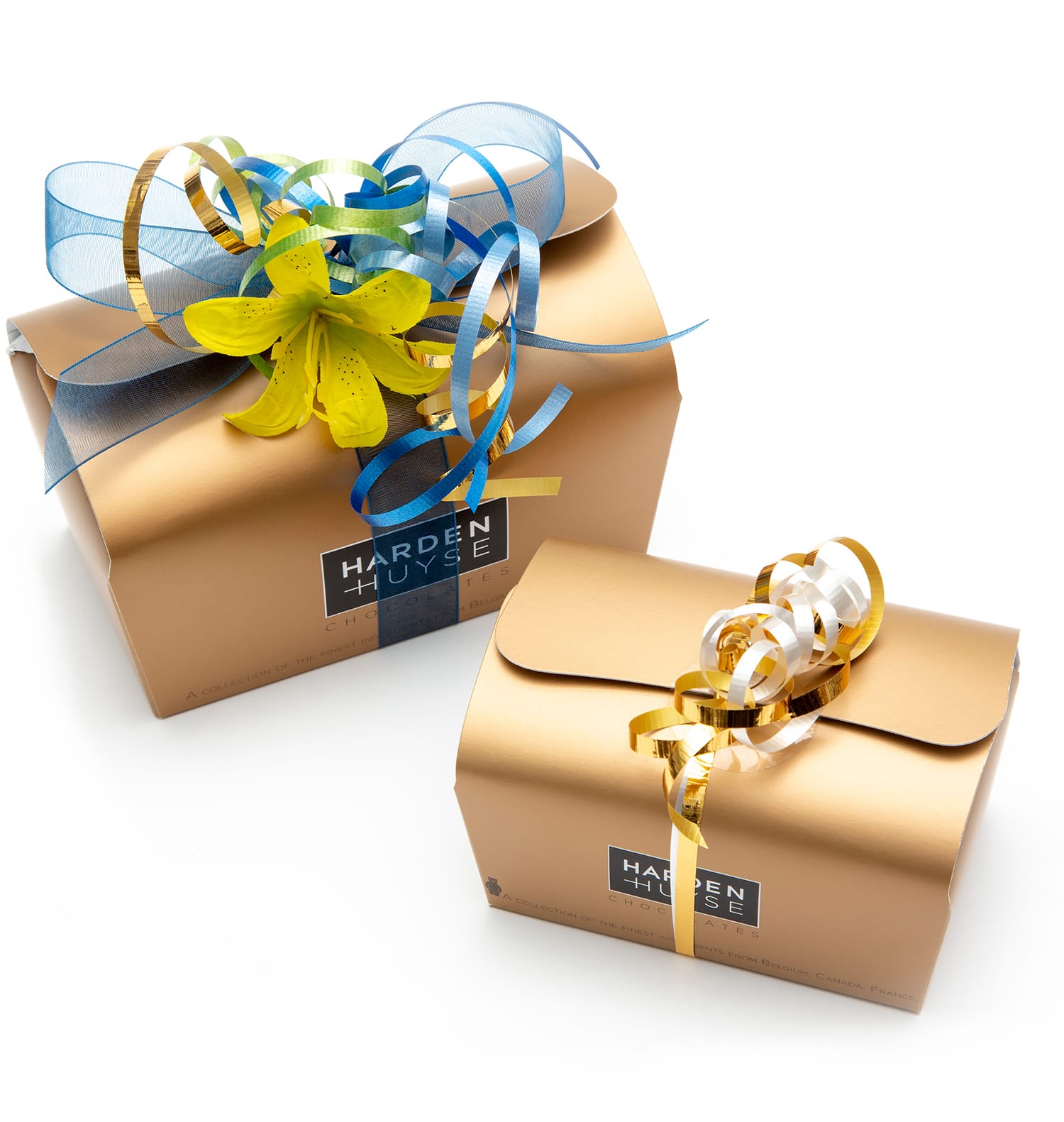 Harden & Huyse Chocolates