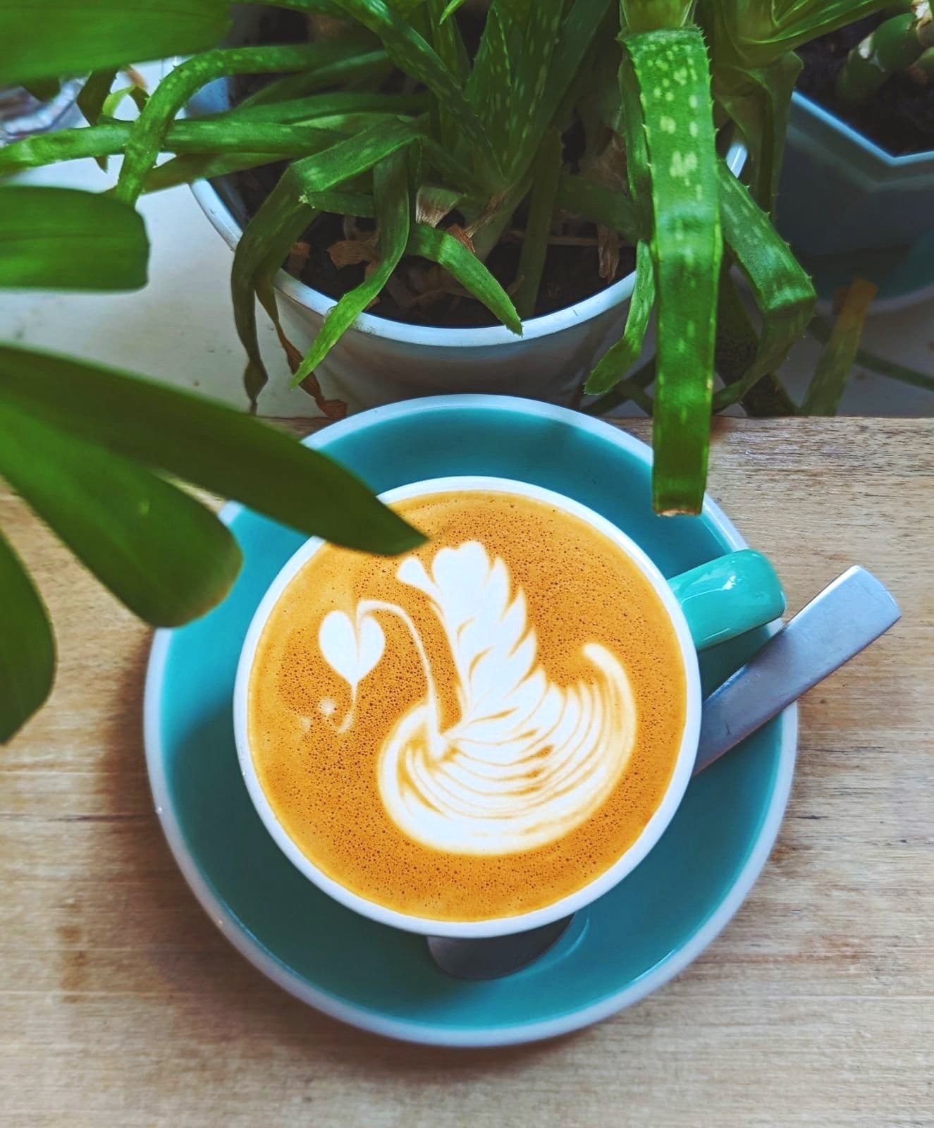 Weird Harbour Espresso Bar photo 2