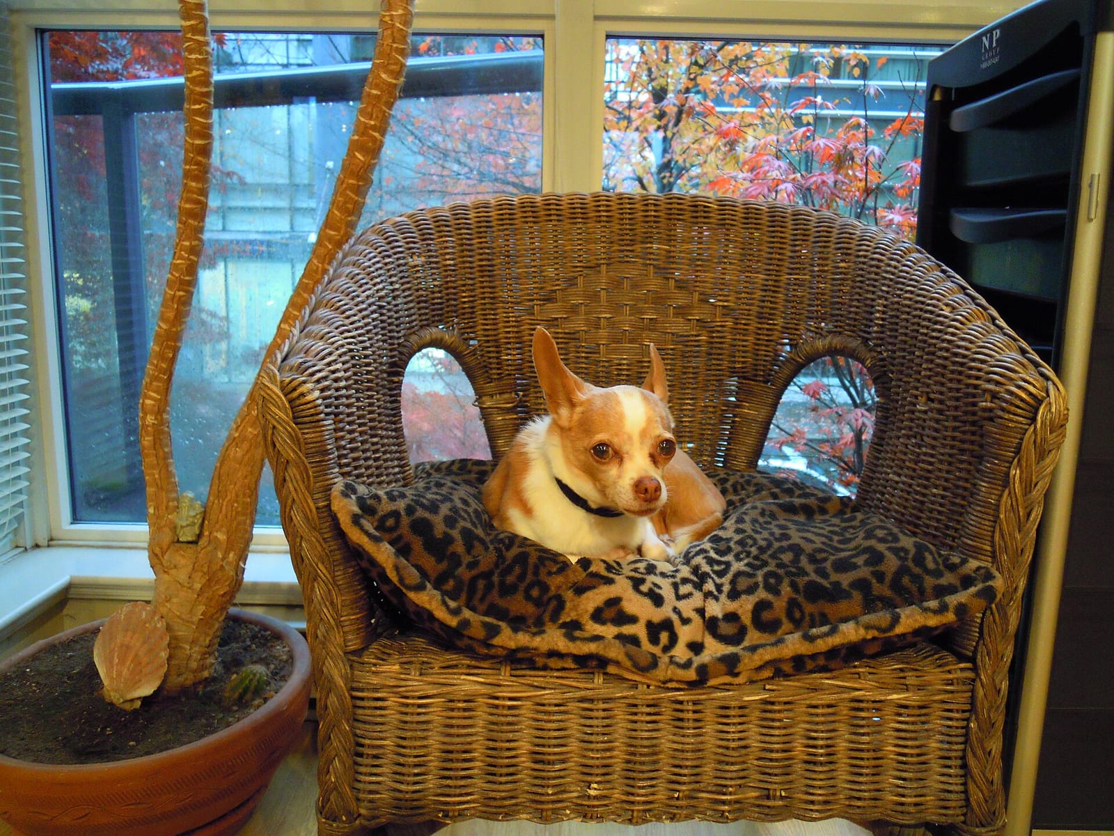 Magic Mug Cafe photo 4