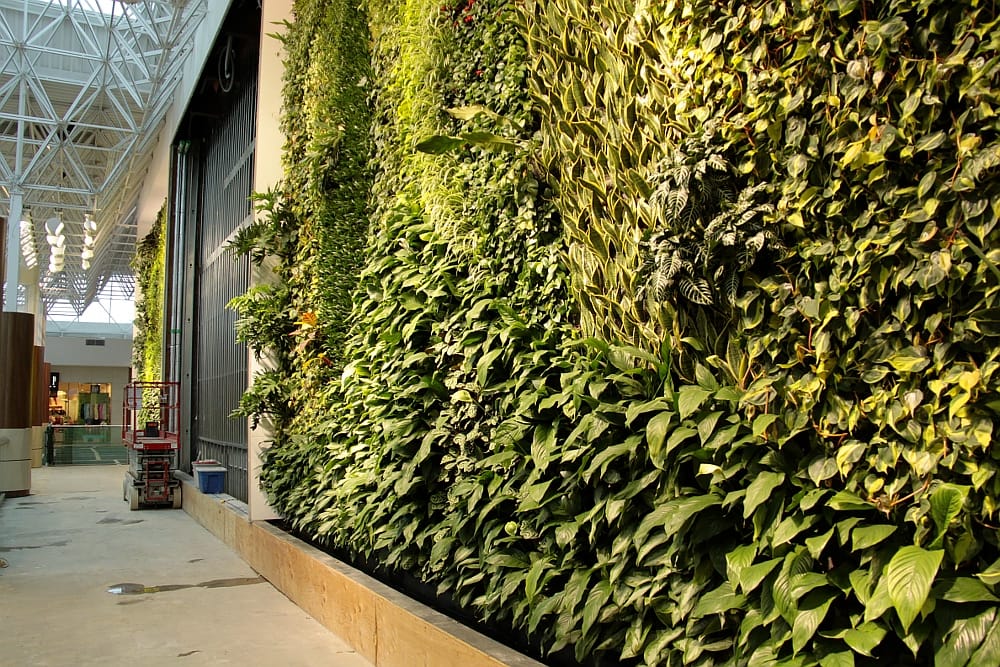 Starbucks Coffee Company photo 2