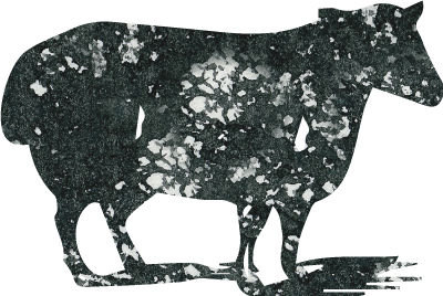 Mouton Noir Westmount photo 3