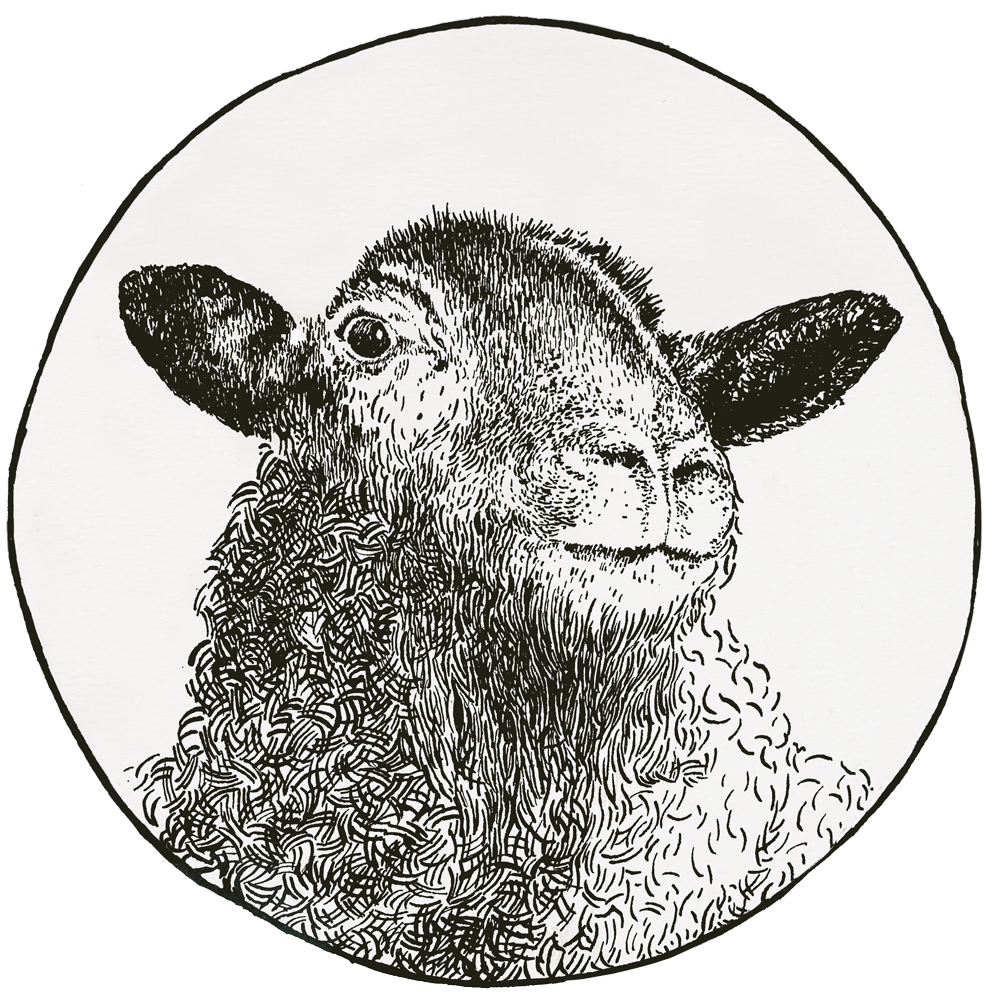 Mouton Noir Westmount