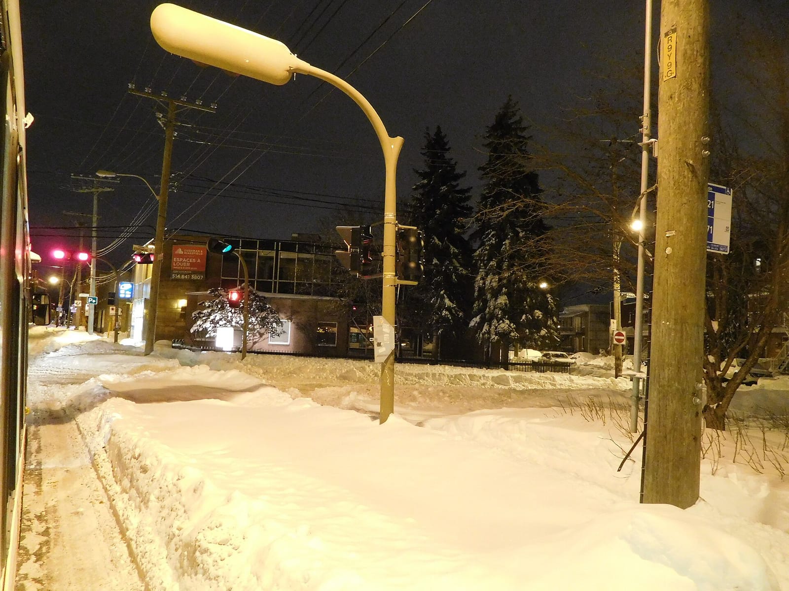 Pétale Sucré, Café & Fleurs, Montréal, Verdun photo 5