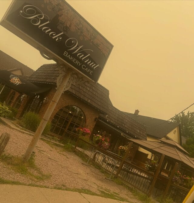 Black Walnut Bakery Café photo 6