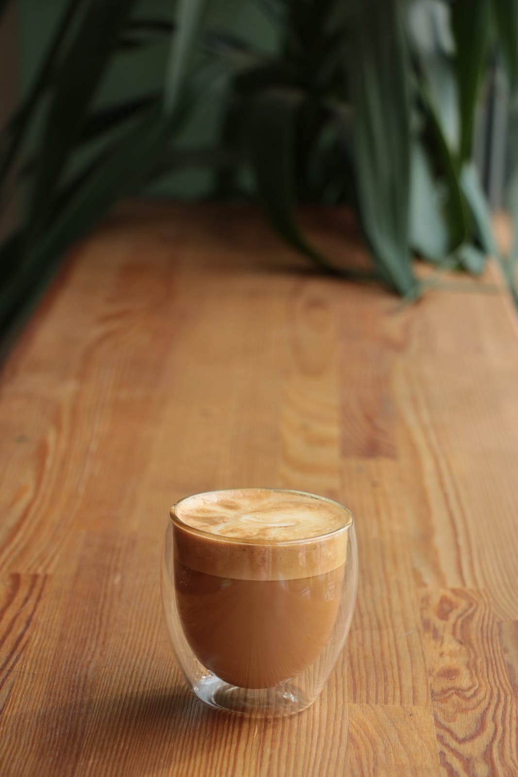 MT Nest Cafe & Market photo 8