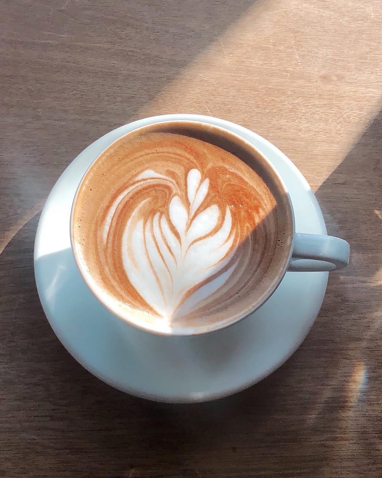 MT Nest Cafe & Market