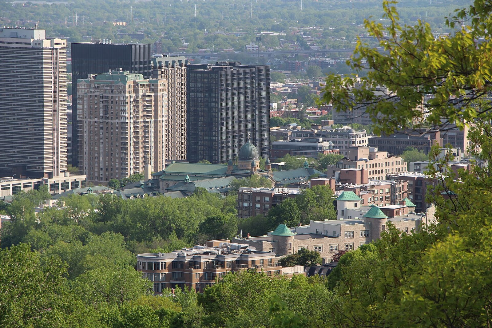 Mount Royal Chalet photo 9