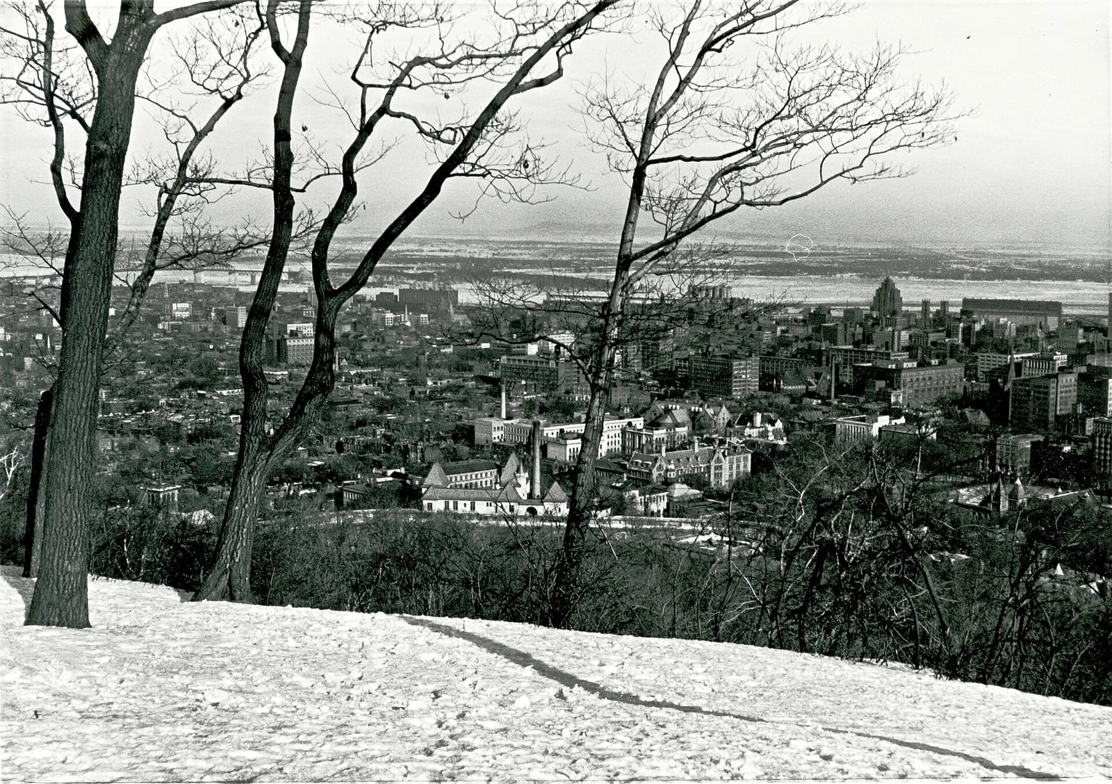 Mount Royal Chalet photo 8