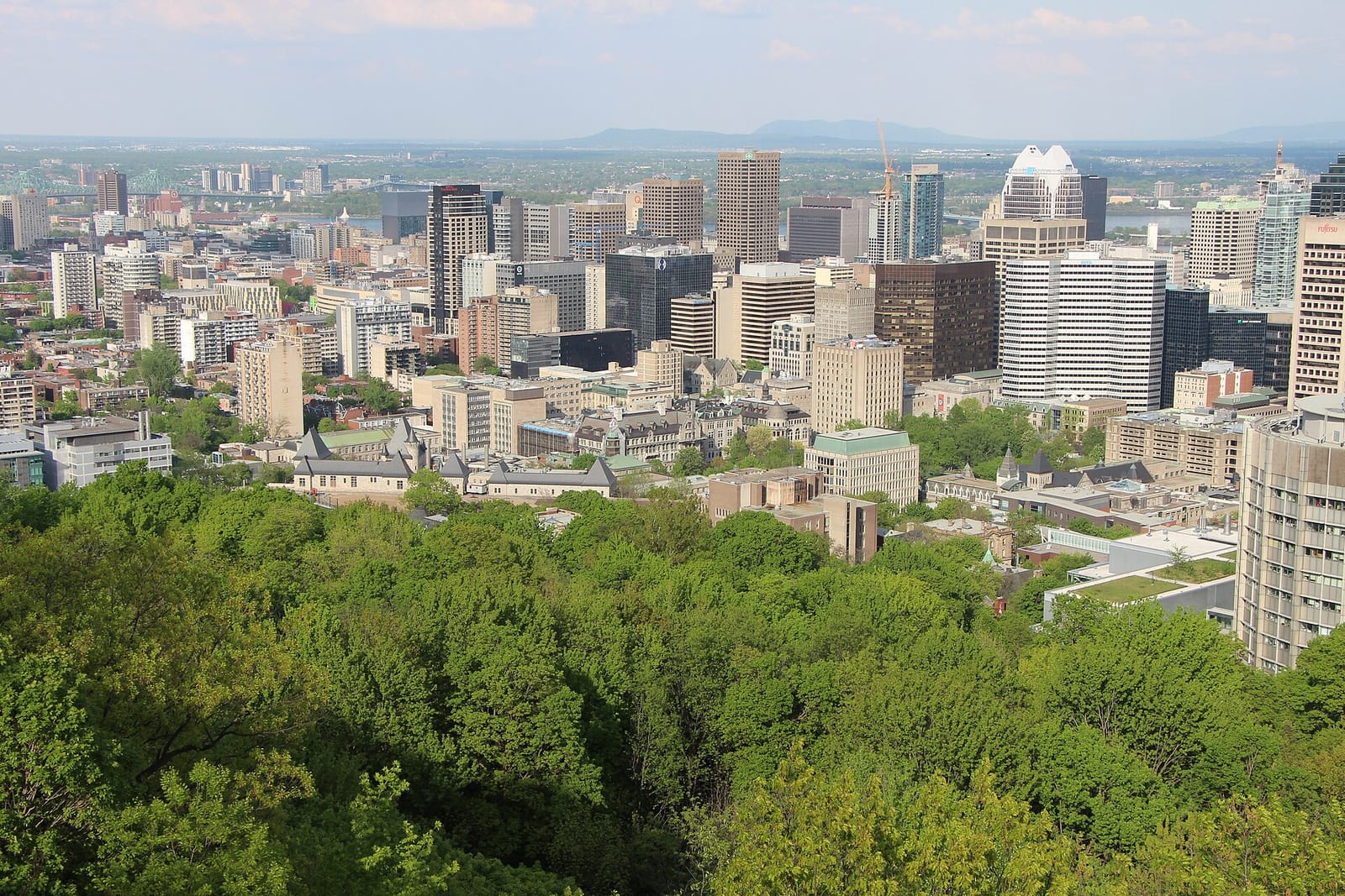 Mount Royal Chalet photo 10