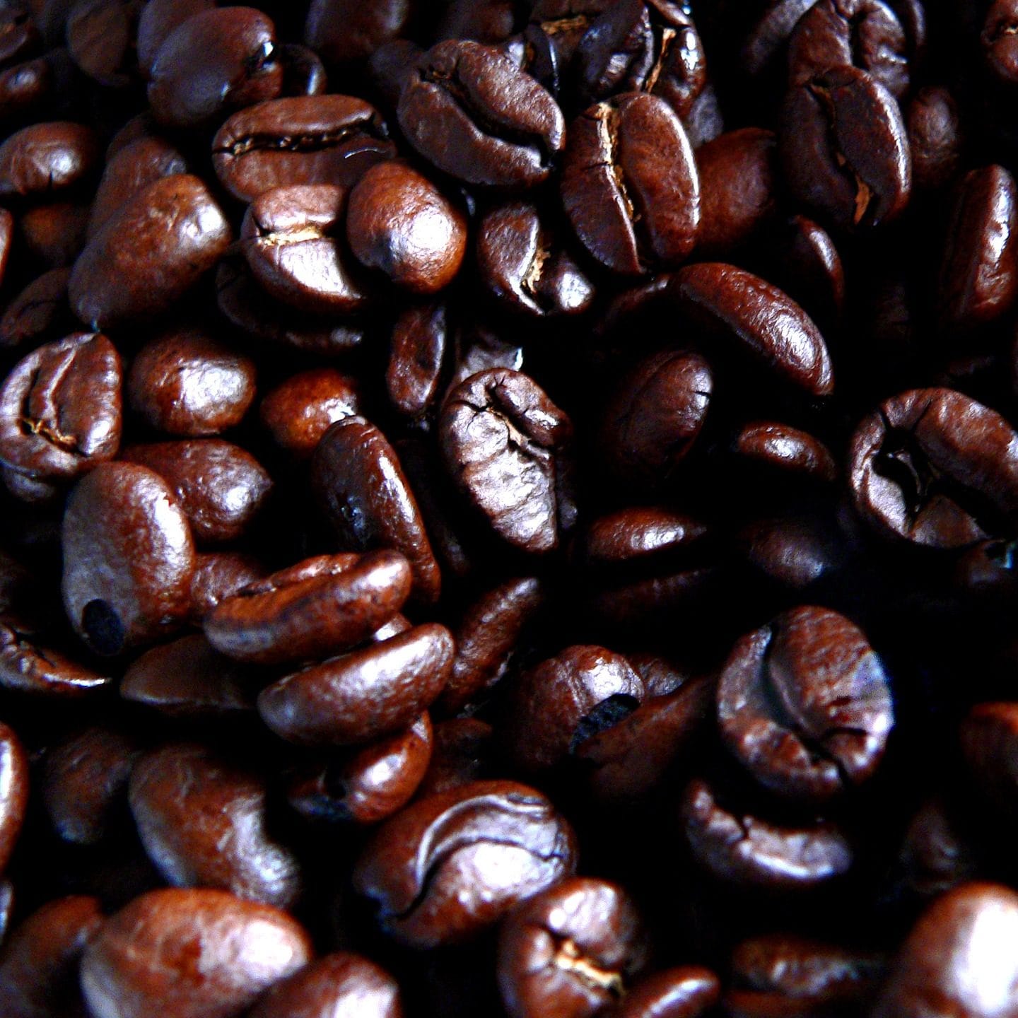 CAFCHIONEE photo 2