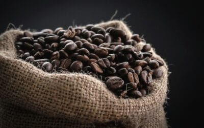 CAFCHIONEE photo 6