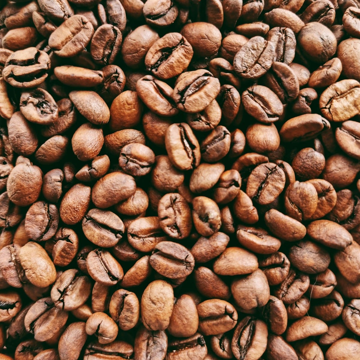CAFCHIONEE photo 3