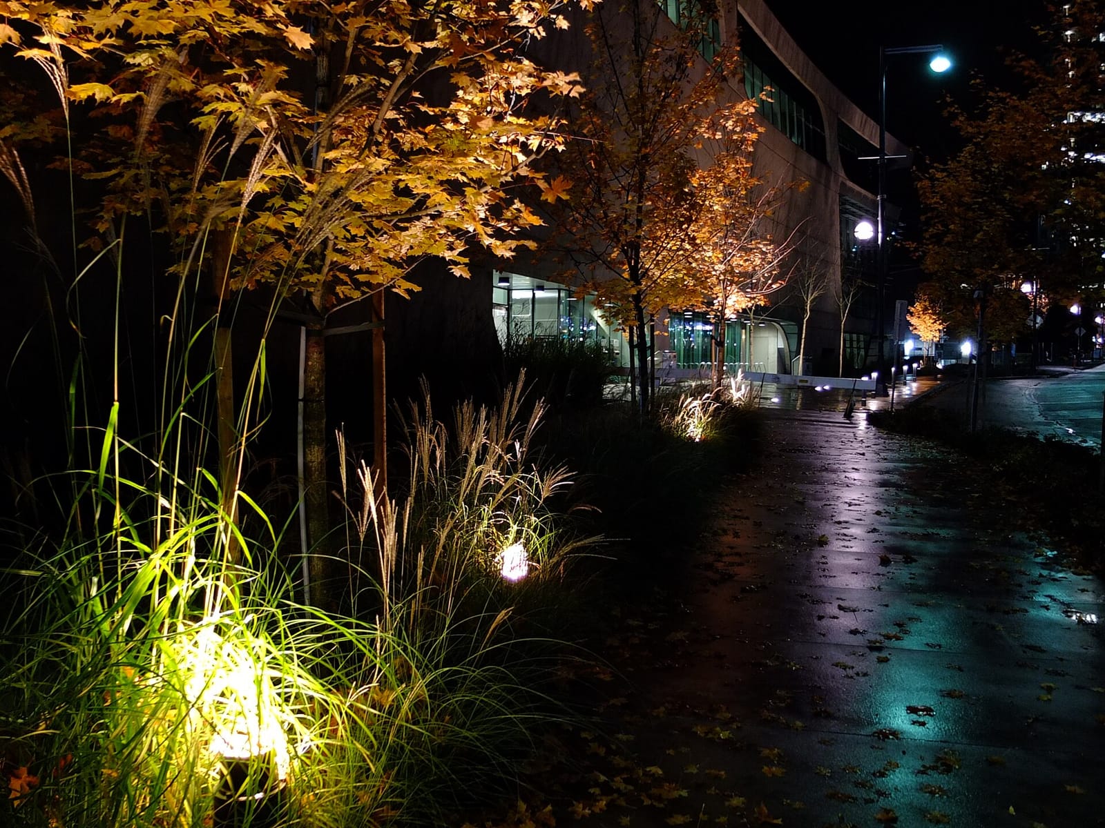 Cafe Central photo 3