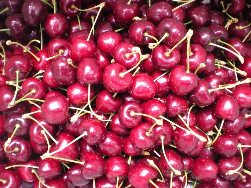 Lennane Orchards photo 2