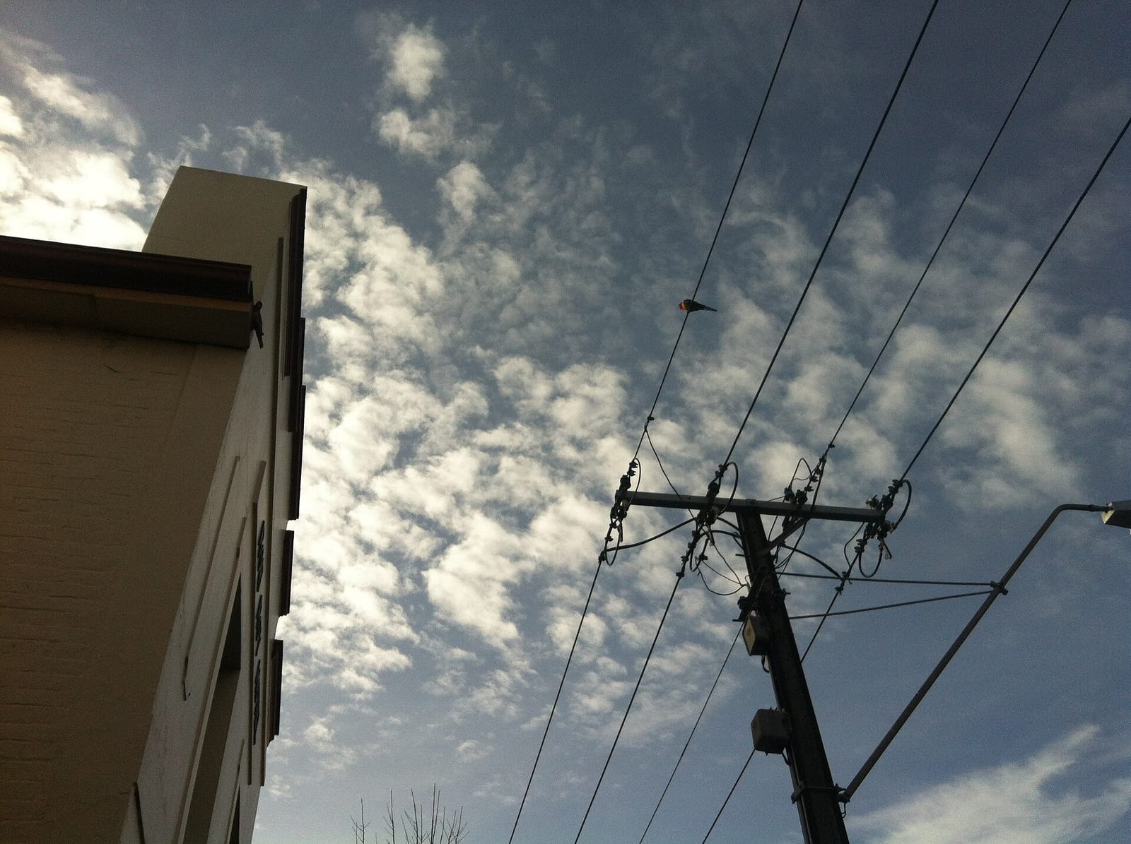 Coffee on Pinks photo 2