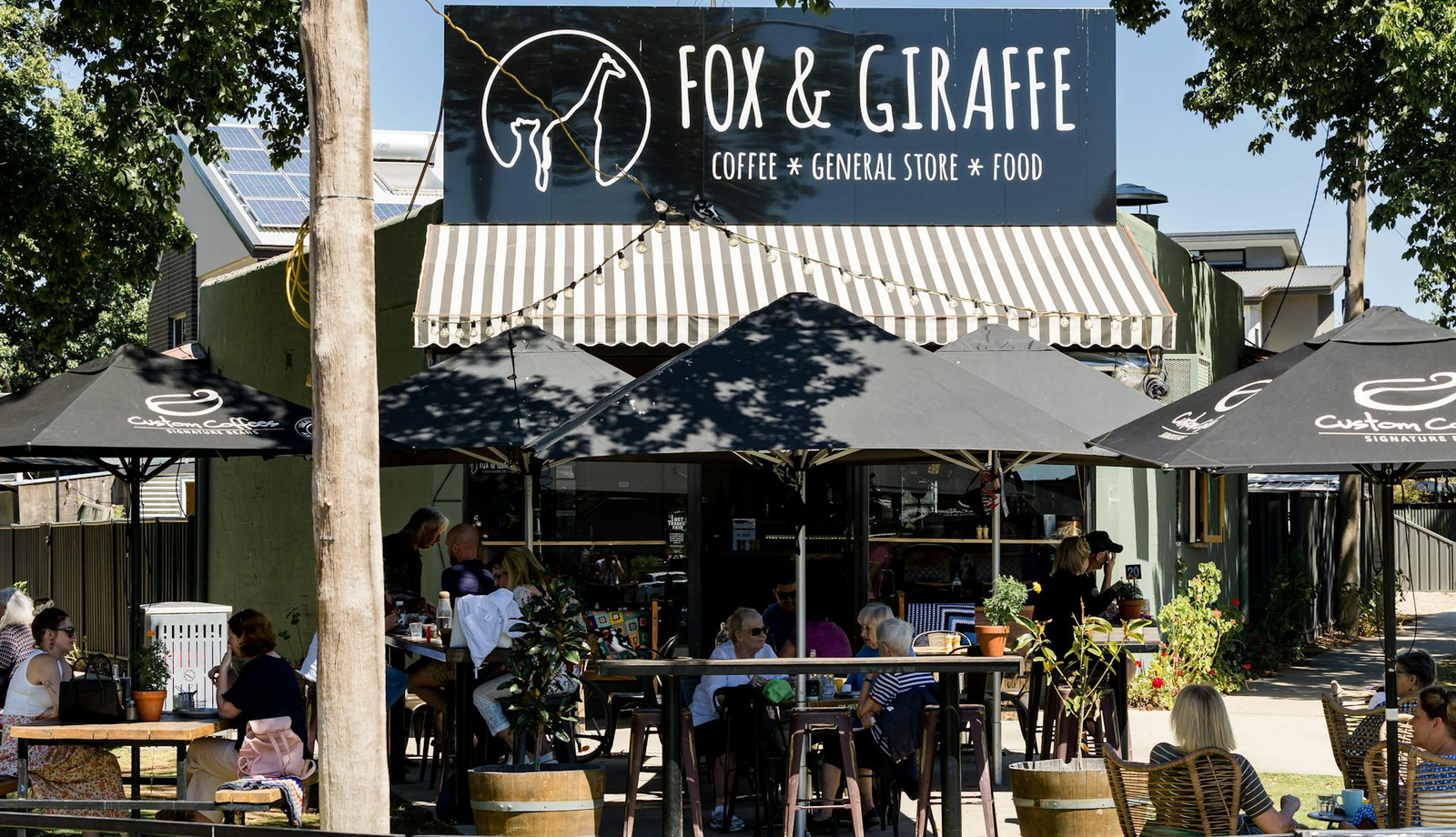 Fox & Giraffe