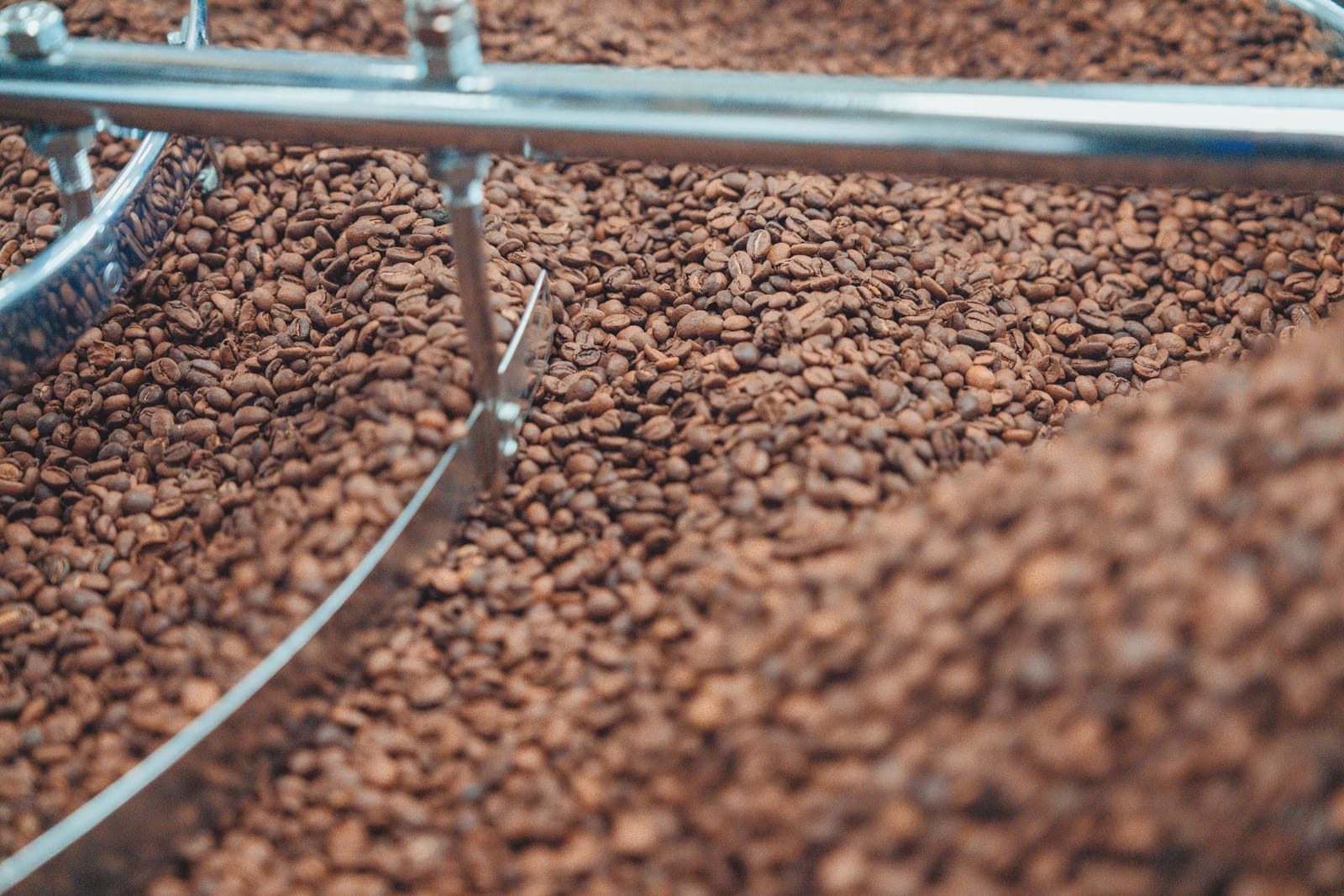 Bermuda Coffee Studio – Coffee Shop & Roastery Berwick photo 2