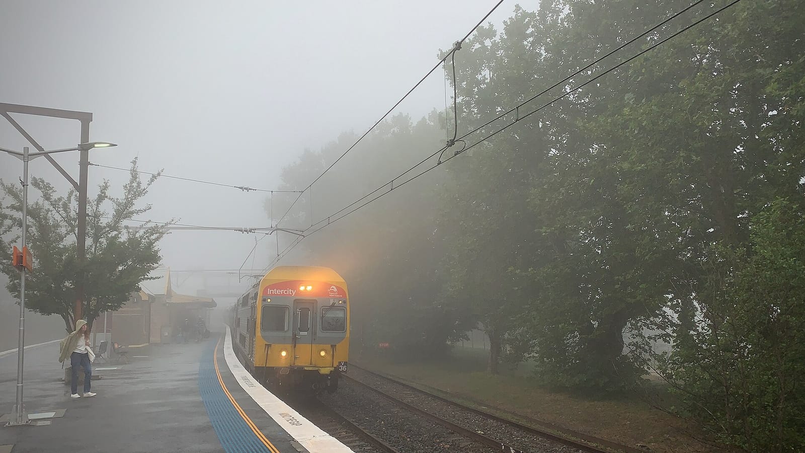 Fed Blue Mountains photo 4
