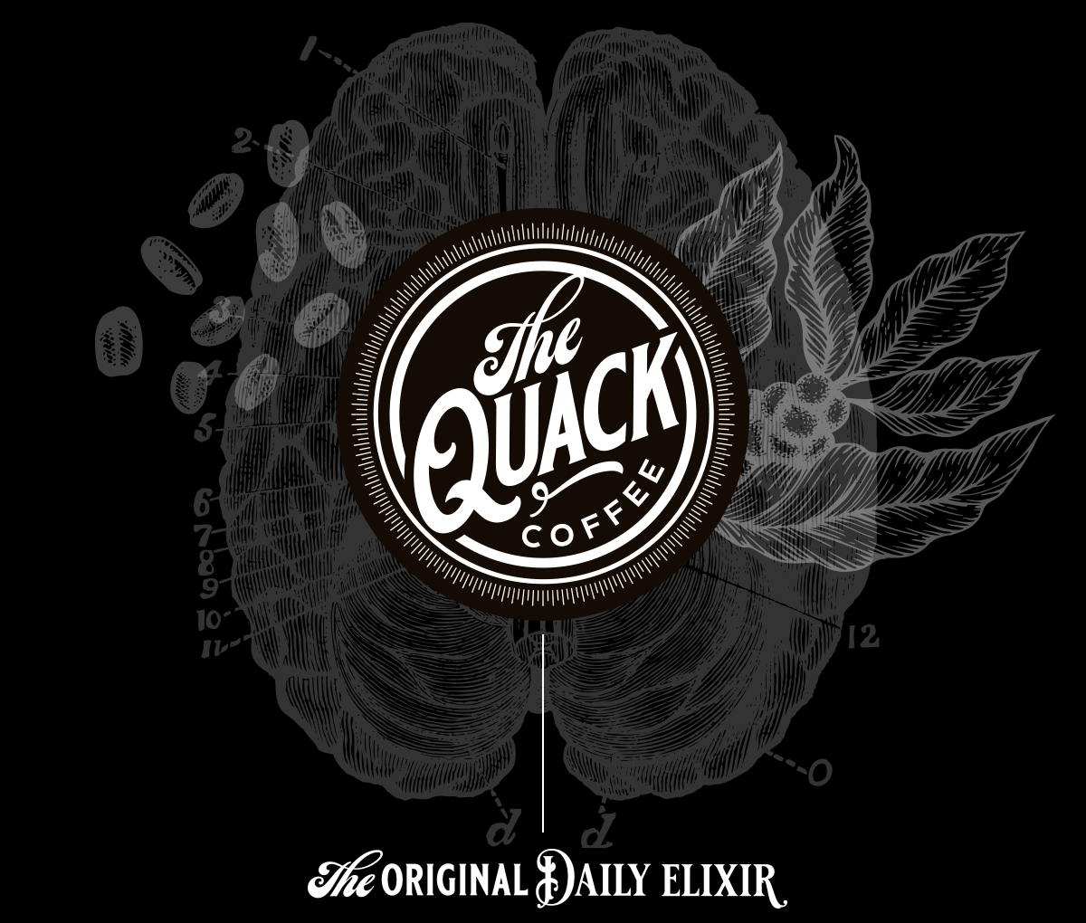 The Quack Coffee photo 2