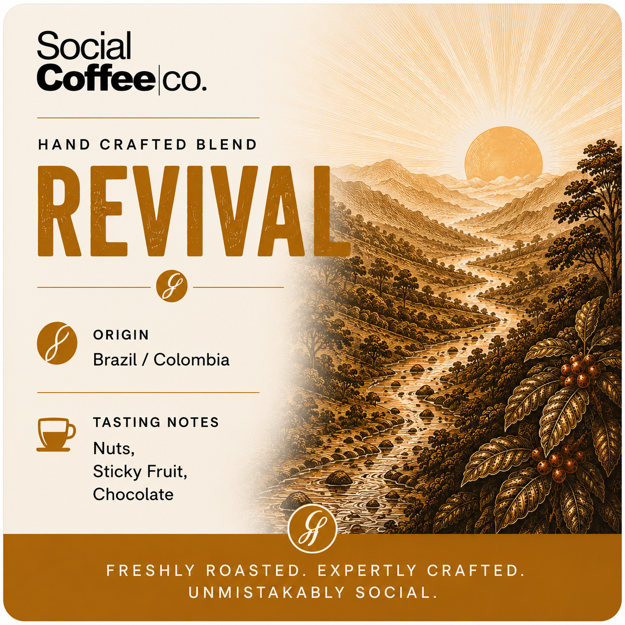 Social Coffee Co photo 5