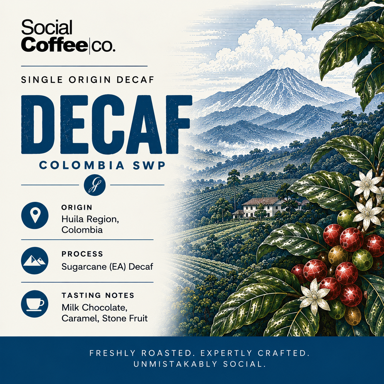 Social Coffee Co photo 7
