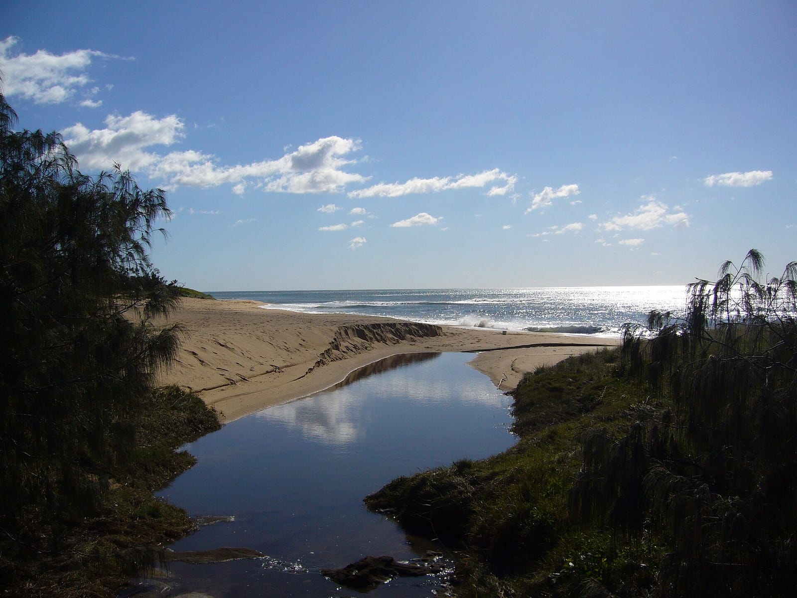 Dicky Beach Surf Club photo 10