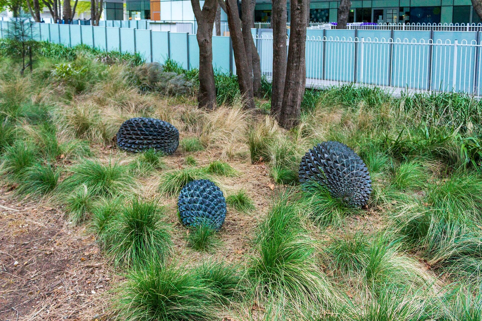 The Glasshouse Cafe photo 5