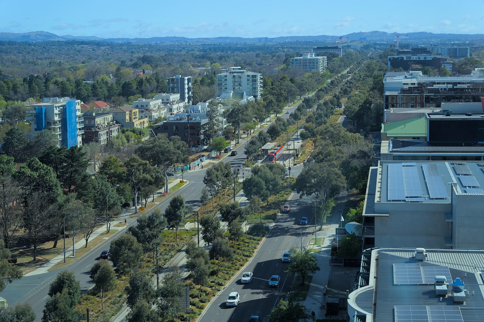 EightyTwenty Canberra photo 3