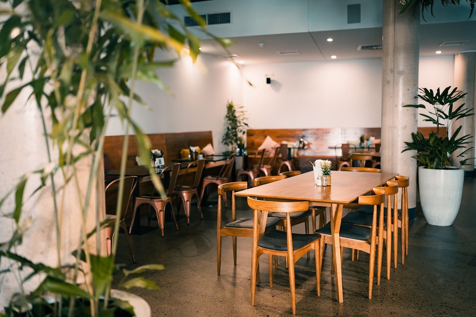 Luna & Co Cafe photo 4