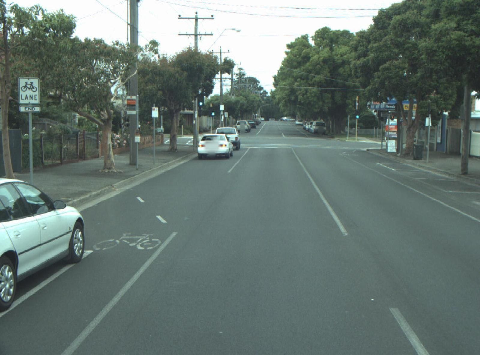 The Birch Geelong