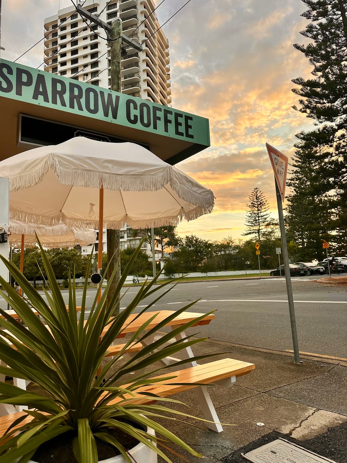 Sparrow Coffee - Main Beach