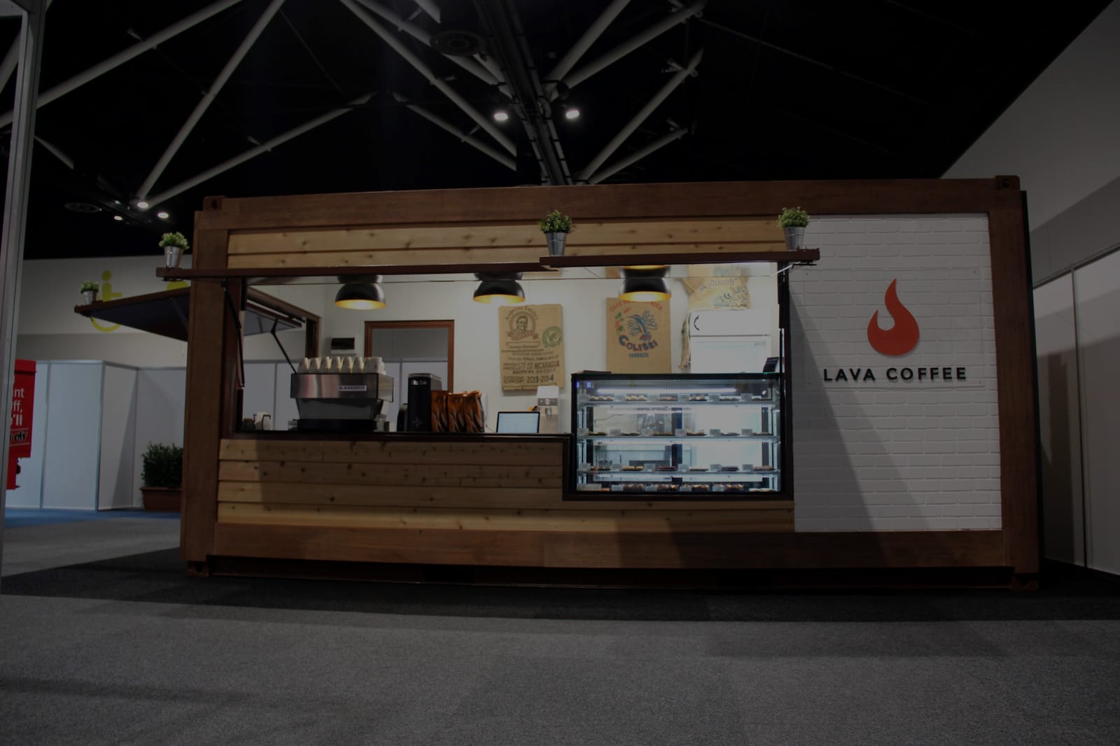 Lava Carts photo 2