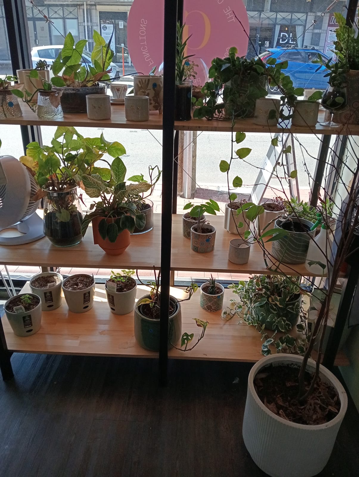 The Crafted Pantry
