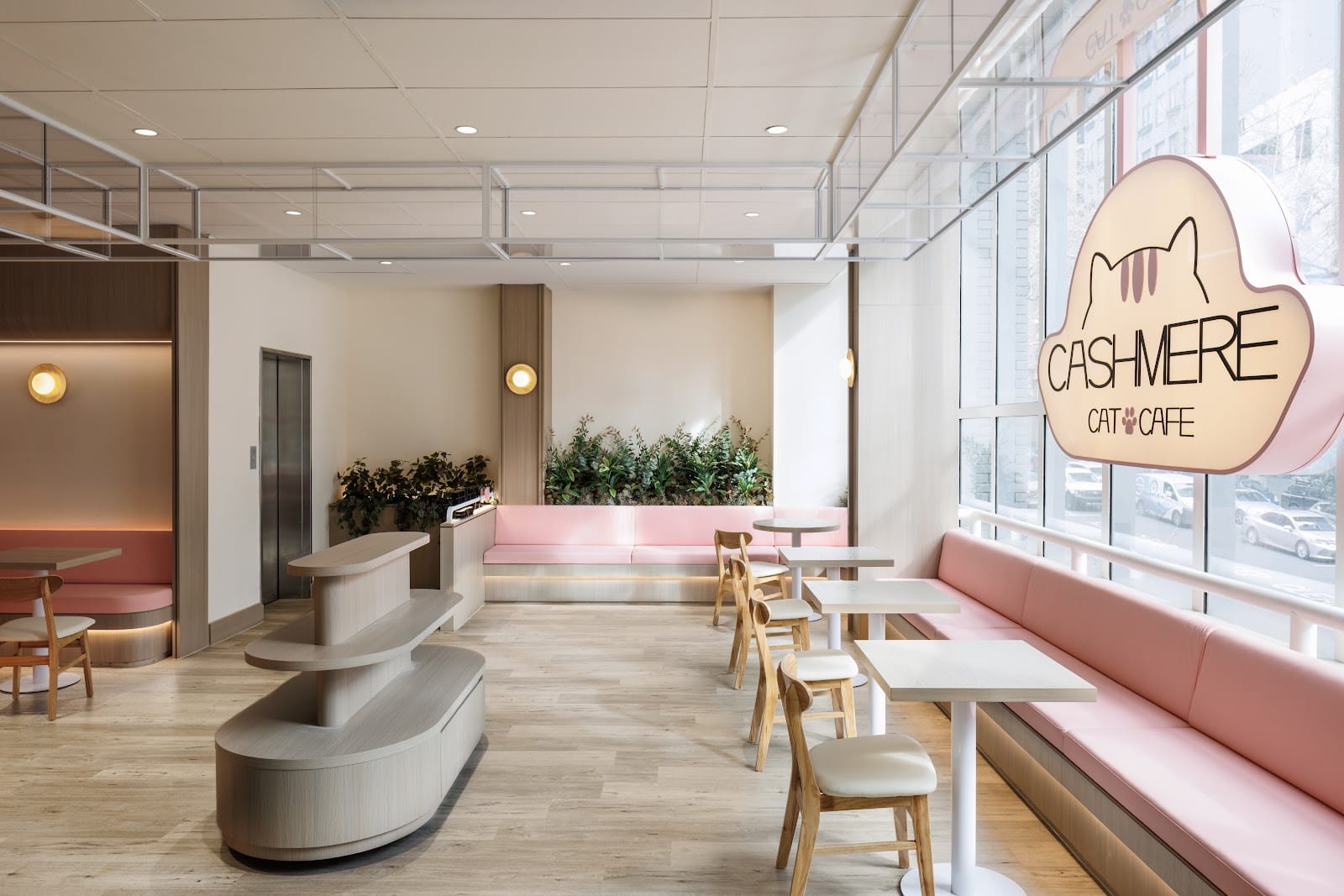 Cashmere Cat Cafe