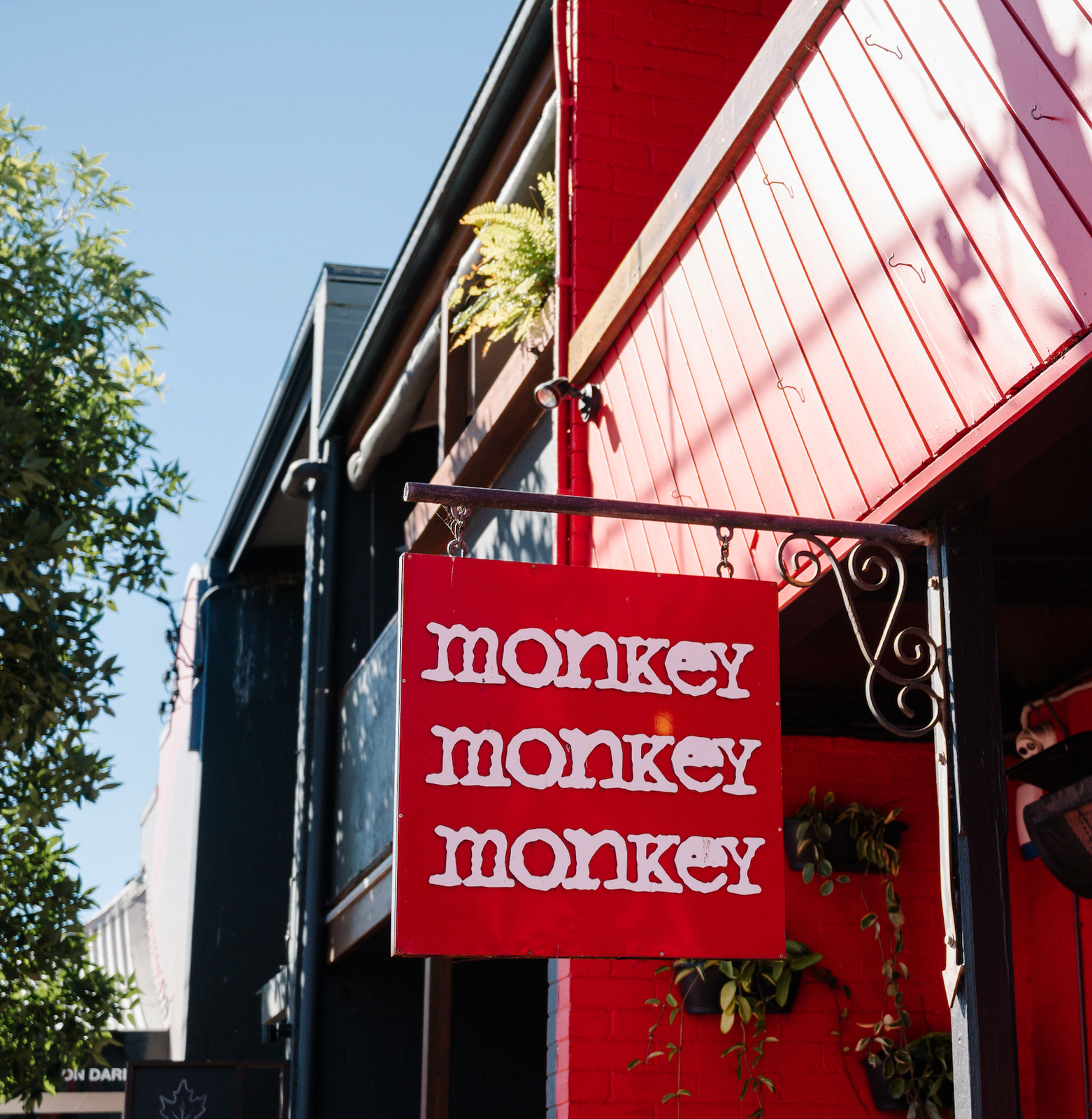 Three Monkeys Cafe photo 4