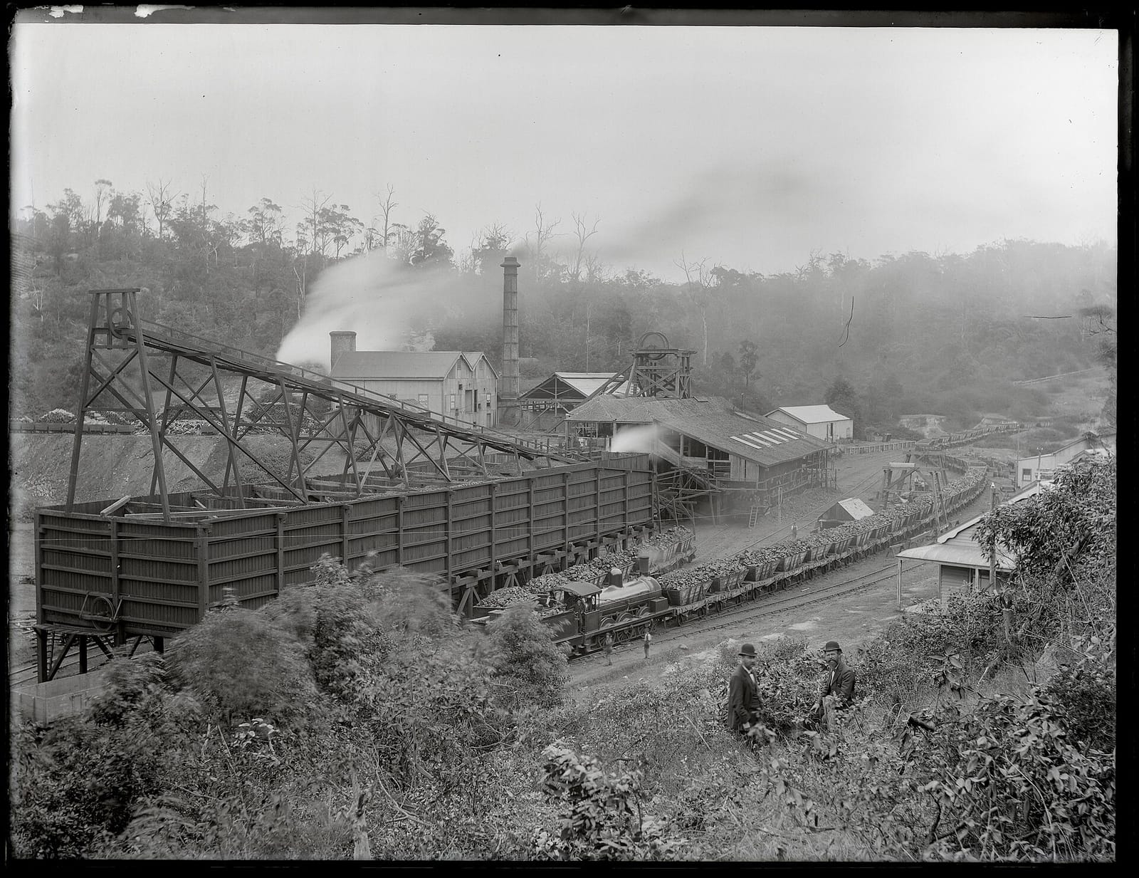Ms Mary photo 3