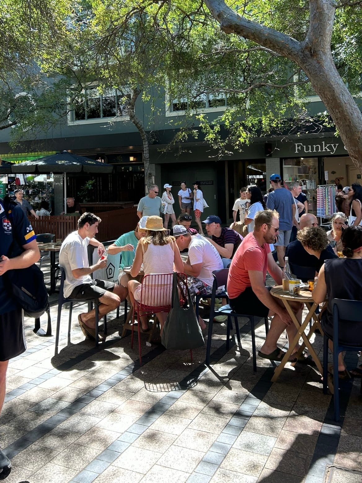 Queen Ester Falafel Bar _ Mona Vale photo 4