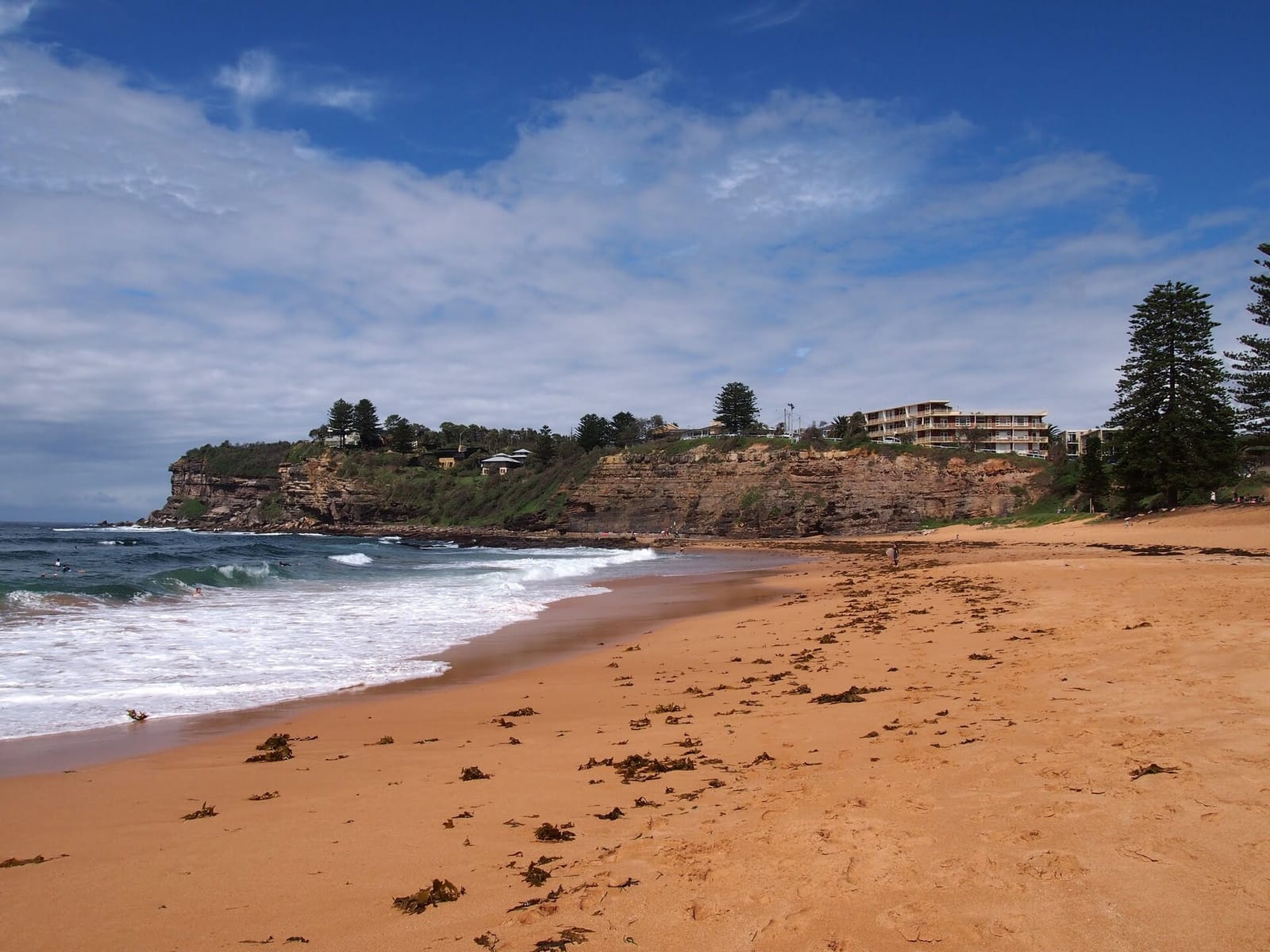 Lovat Cafe Avalon Beach Front