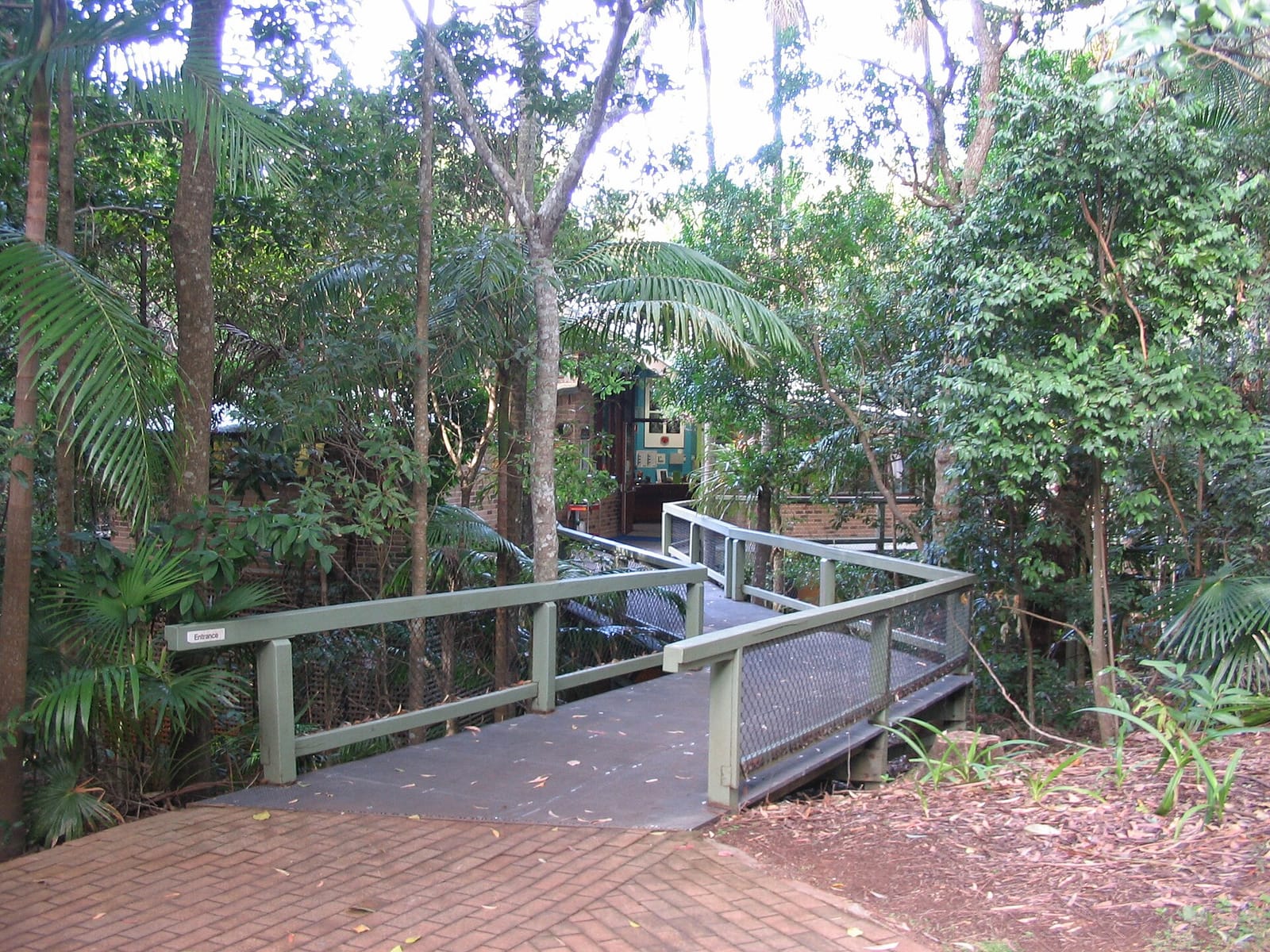 The Rainforest Cafe Port Macquarie