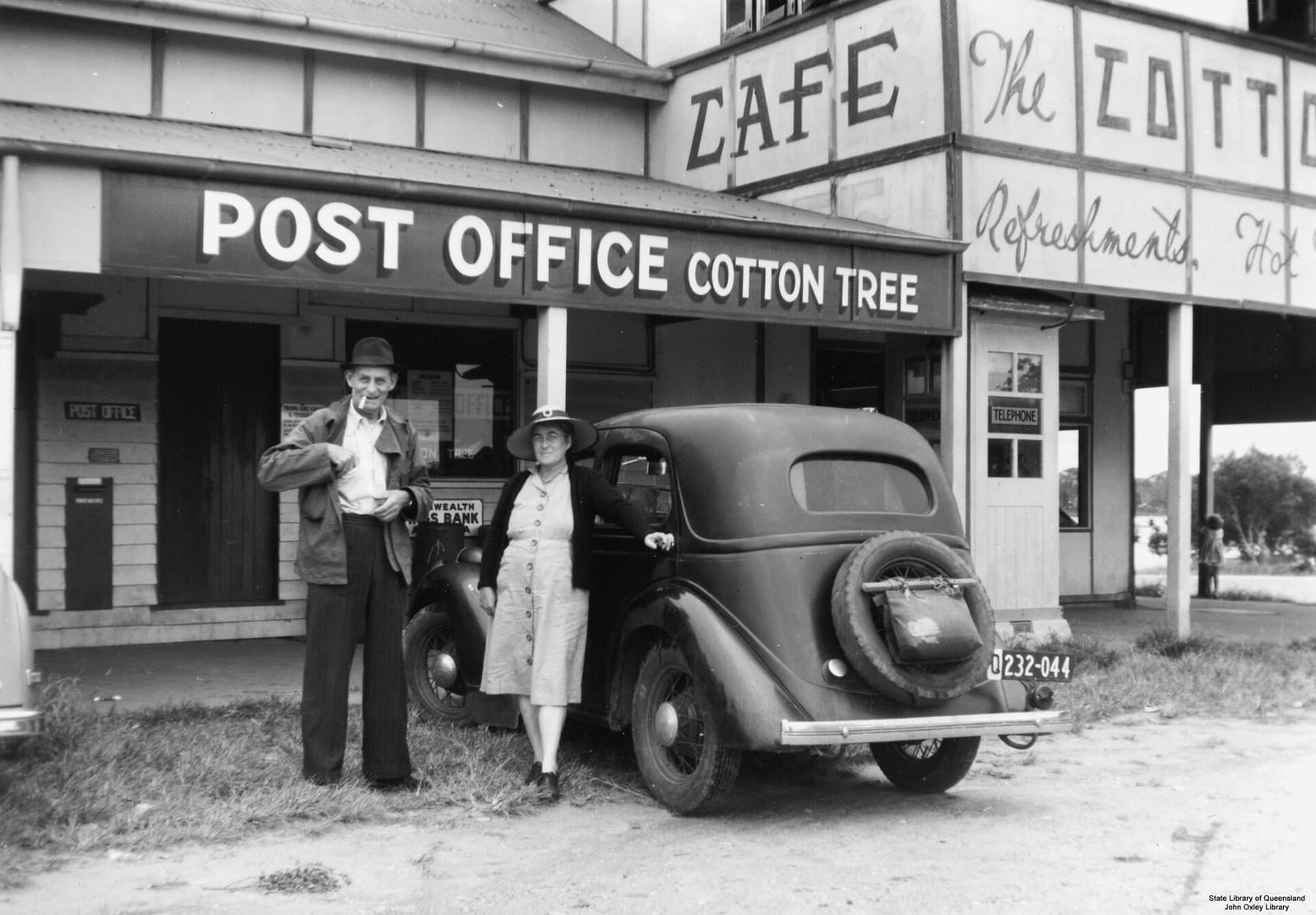 Sunshine Social Cotton Tree