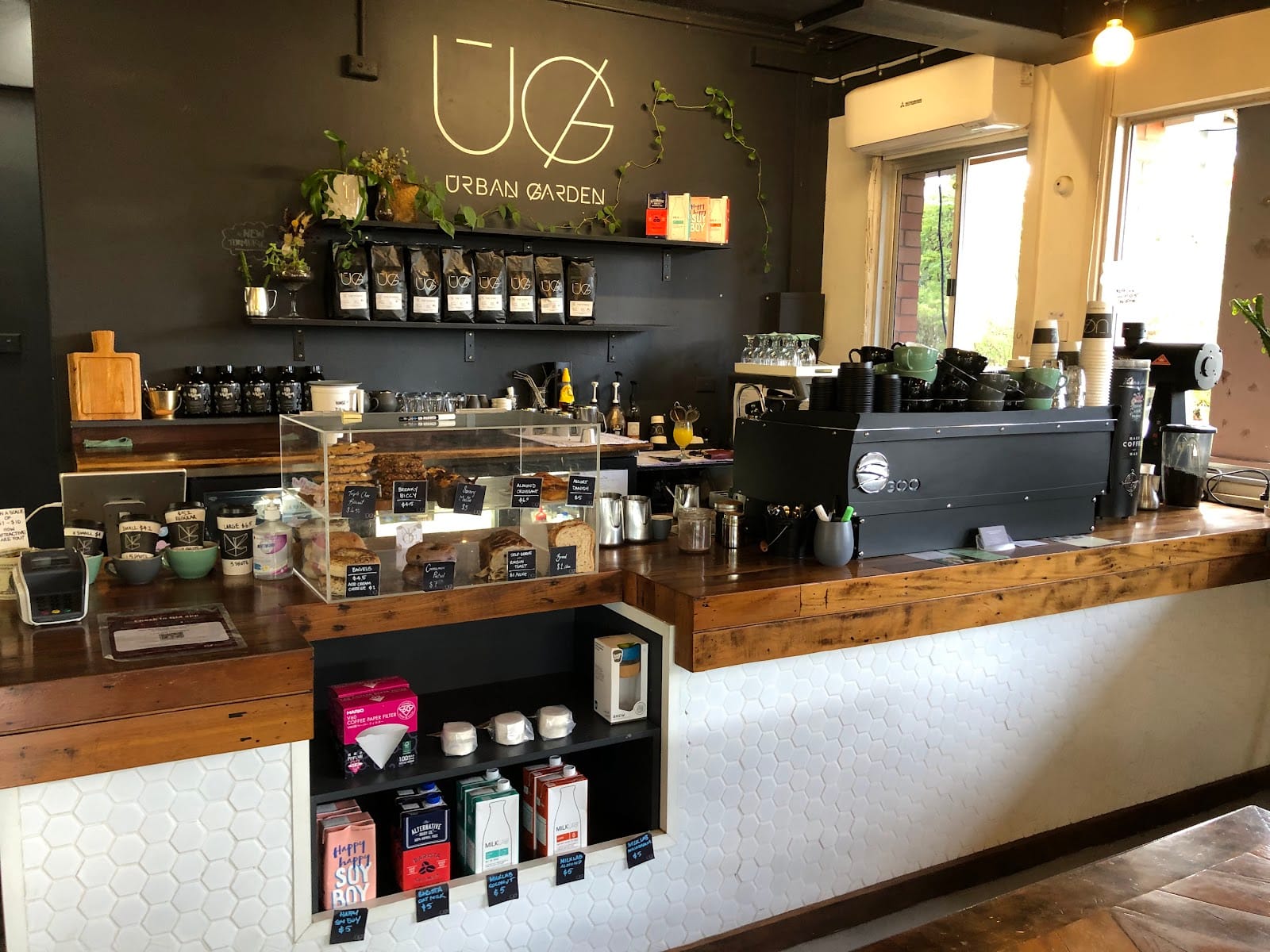 Lil Canteen Cotton Tree