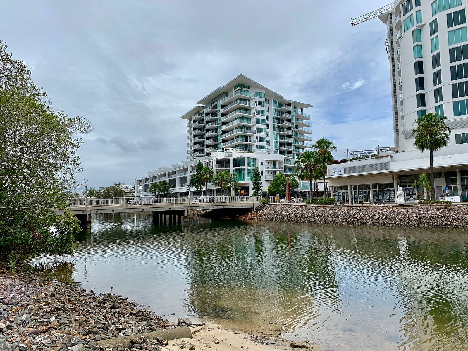 Lil Canteen Cotton Tree photo 3